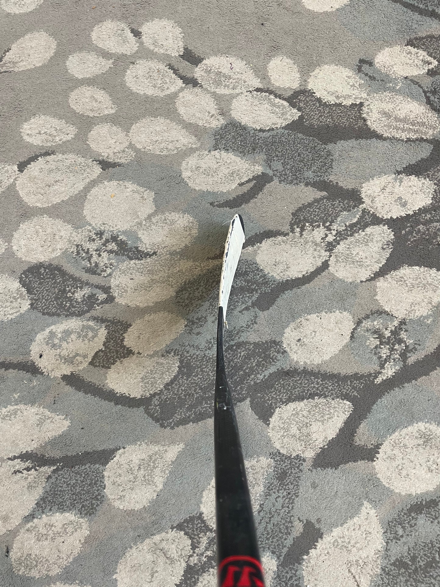 Warrior Dynasty HD1 ( Koivu ) flex 100 175cm käytetty