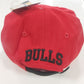 Nba bulls jr lippis