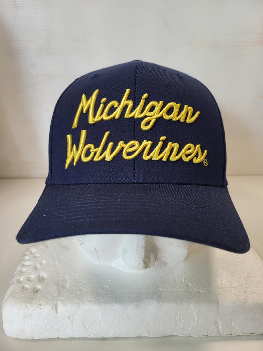 Michigan wolwerines lippis