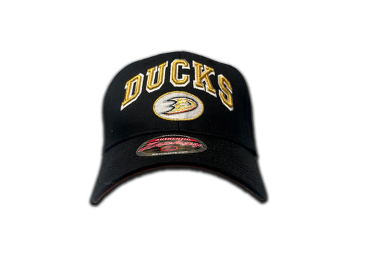 Anaheim ducks lippis