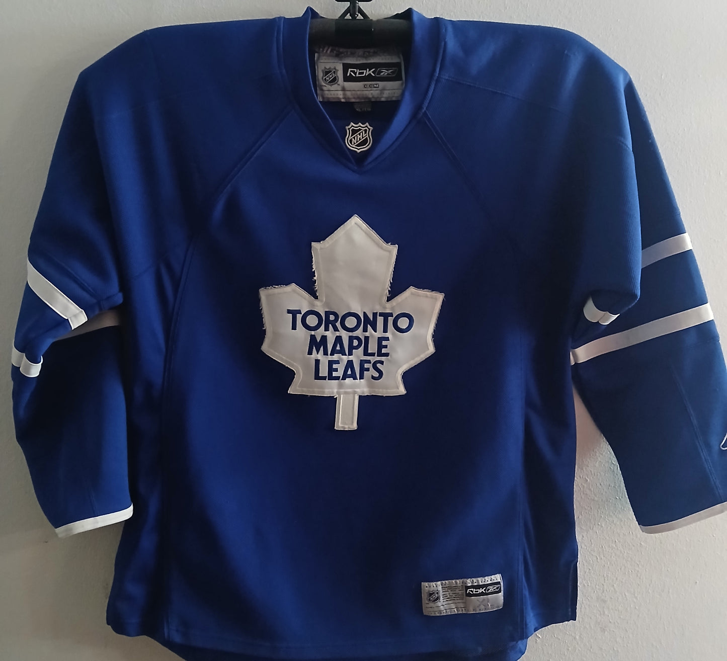 Toronto fanipaita